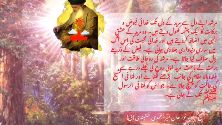 Urdu – شیخ السیّد نورجان میراحمدی نقشبندی (ق) کی سنہری
