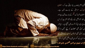 Urdu – شیخ سَیَّد نورجان مِیراَحمَدِی نَقشبَندِی (ق) کا ۲۵