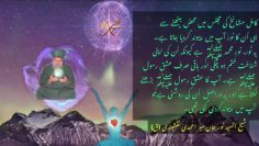 Urdu – شیخ سیّد نورجان میر احمدی نقشبندی (ق) کی