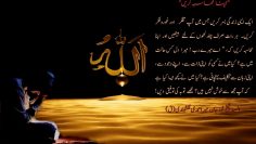 Urdu – شیخ نور جان میر احمدی نقشبندی (ق) کے