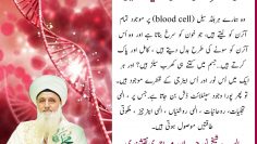 Urdu – |صوفی ماسٹرز ہی حقیقی کیمیا گر ہیں| وہ