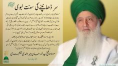 Urdu – قرآن پاک میں مچھلی کا معنی اور علمِ