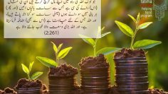 Urdu – مَثَلُ الَّذِیۡنَ یُنۡفِقُوۡنَ اَمۡوَالَہُمۡ فِیۡ سَبِیۡلِ اللّٰہِ کَمَثَلِ