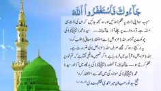 Urdu – نبی کریم (ﷺ) کی طرف دوڑو اور اللہ