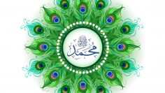 Urdu – پرندے اولیاء اللہ کی علامت ہیں– وہ ان