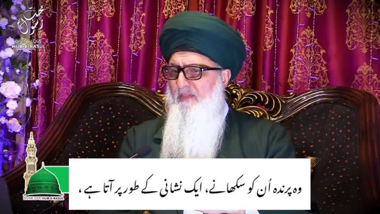 Urdu – ‎اللہ سے محبت کسے کی جائے ۔ قسط