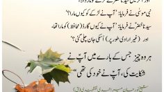 Urdu – ‘Nabi Musa’s (as) Tests Were a Reflection of