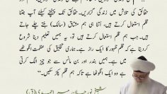 Urdu – “So take a life of qalam, take a