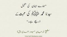 Urdu – “The perfection of our faith is through the