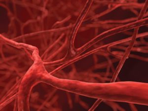 blood-vessels-closeup