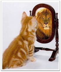cat_mirrors_lion