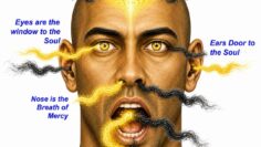 energy_openings_human