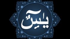 [ID: 4BPASS0crLU] Youtube Automatic