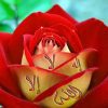 [ID: 5_6MgLPTXfc] Youtube Automatic