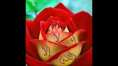 [ID: 5_6MgLPTXfc] Youtube Automatic