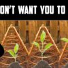 [ID: 60HBkzzBNC0] Youtube Automatic