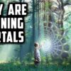 [ID: bzsToA-PTas] Youtube Automatic