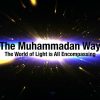 [ID: elKoY1-N2Ds] Youtube Automatic