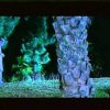 [ID: Fp0XPLtzbkE] Youtube Automatic