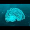 [ID: g-1f6rPFop4] Youtube Automatic