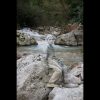 [ID: j1IvBp6tF5M] Youtube Automatic