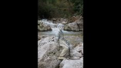 [ID: j1IvBp6tF5M] Youtube Automatic