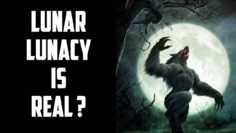 [ID: Lw232K12Q00] Youtube Automatic