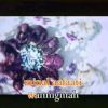 [ID: MPkTegplSSw] Youtube Automatic