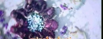 [ID: MPkTegplSSw] Youtube Automatic