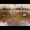 [ID: O0arSEiS8FI] Youtube Automatic