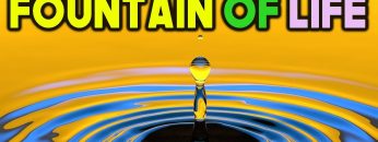 [ID: oLn1IJiONDM] Youtube Automatic