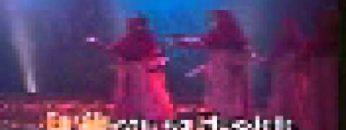 [ID: ZXeARE4A_9w] Youtube Automatic