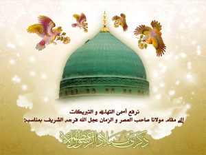 Madina - Birds - Milad Rasul Azam