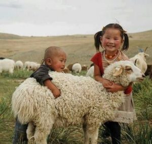 kids hugging sheep, qurban