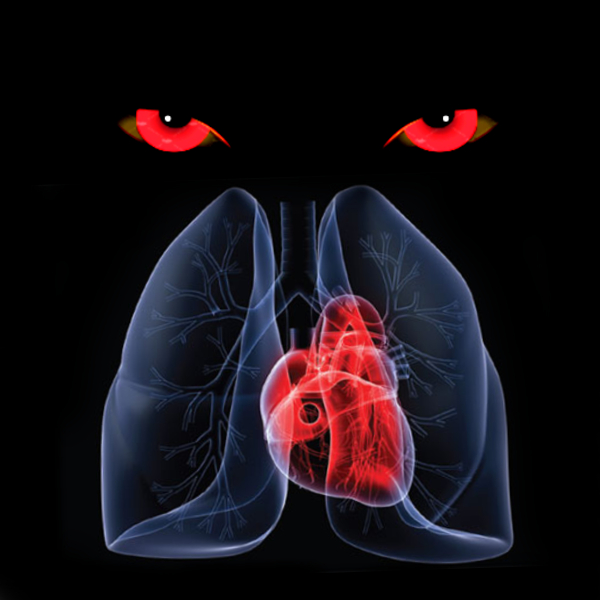 lungs and heart, shaitan, negativity going after hearts and lungs,