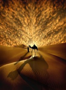 man walking camel in desert Naqatullah, she-camel