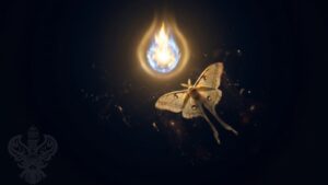 Moth flying towards Divinely flame