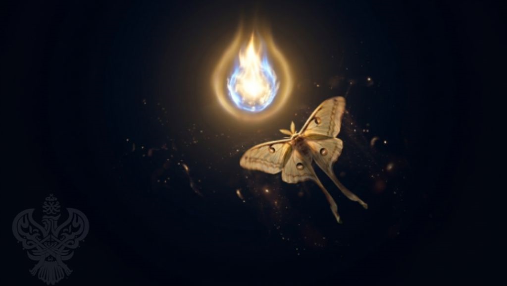 Moth flying towards Divinely flame