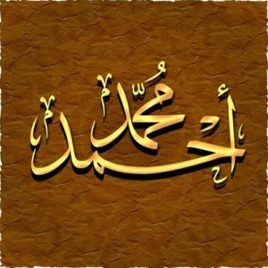 Prophet Muhammad (s), Ahmad (s)