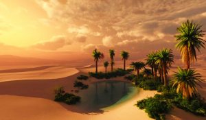 oasis in desert, caravan of love,