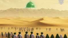 people looking at Madina from desert