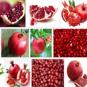 pomegranate - seed, tree - plant, fruit