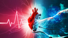 power of the heart, heart connection, rabita, rabitah