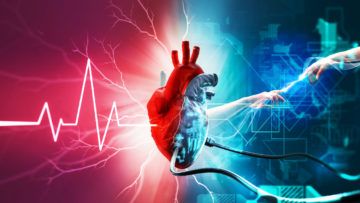 power of the heart, heart connection, rabita, rabitah