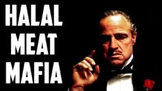 Private: [ID: Akcu2EMRSo4] Youtube Automatic