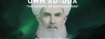 Private: [ID: lw346_ygVW4] Youtube Automatic