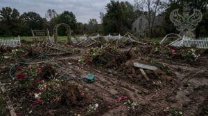 Destroyed rose garden