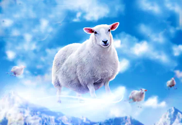 sheep mi'raj ascension qurban sacrifice