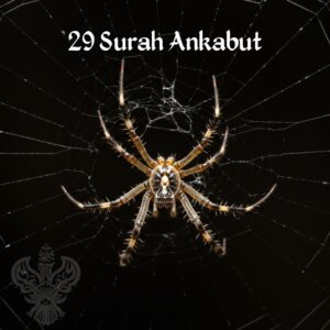 Spider sitting in its web