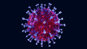 virus gif